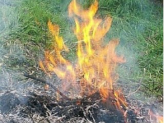 Chiusura stato di massima pericolosità per gli incendi boschivi su tutto il territorio regionale del Piemonte a partire dal giorno 11 settembre 2026
