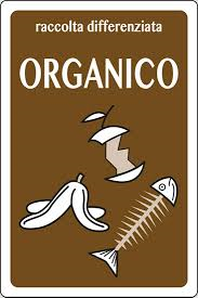 Raccolta rifiuti organici